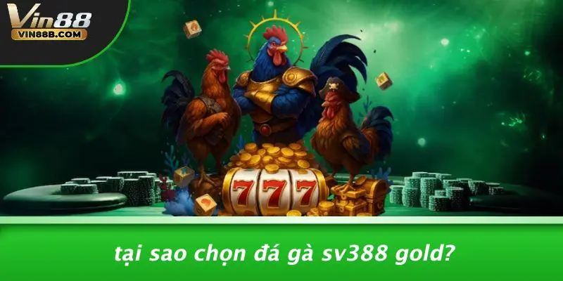 Tại Sao Chọn Đá Gà Sv388 Gold?